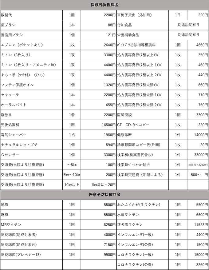 保険外負担一覧_202504